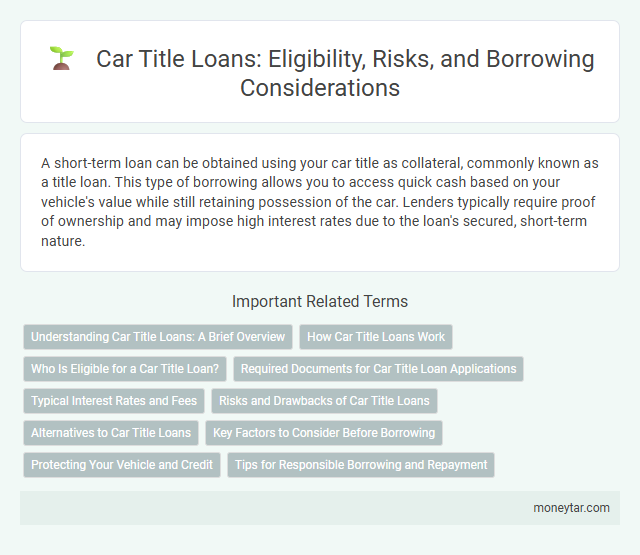 Car Title Loans: Eligibility, Risks, and Borrowing Considerations