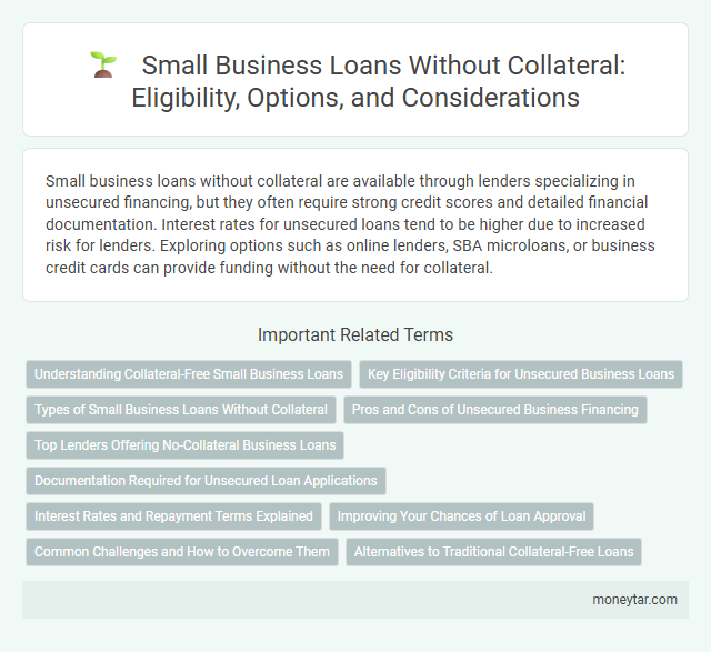 Small Business Loans Without Collateral: Eligibility, Options, and Considerations