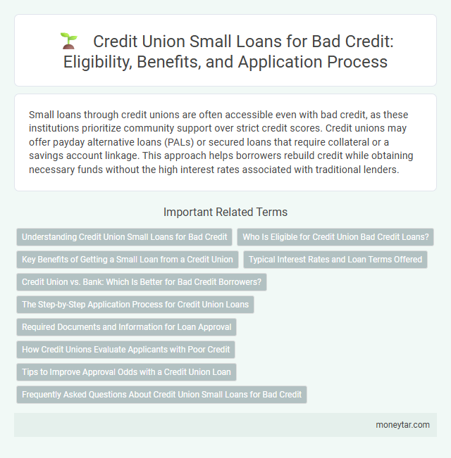 Credit Union Small Loans for Bad Credit: Eligibility, Benefits, and Application Process