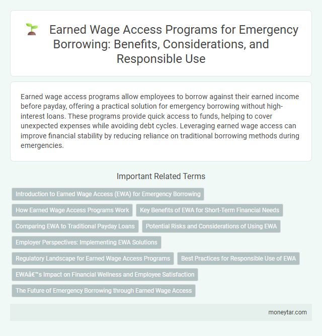 Earned Wage Access Programs for Emergency Borrowing: Benefits, Considerations, and Responsible Use