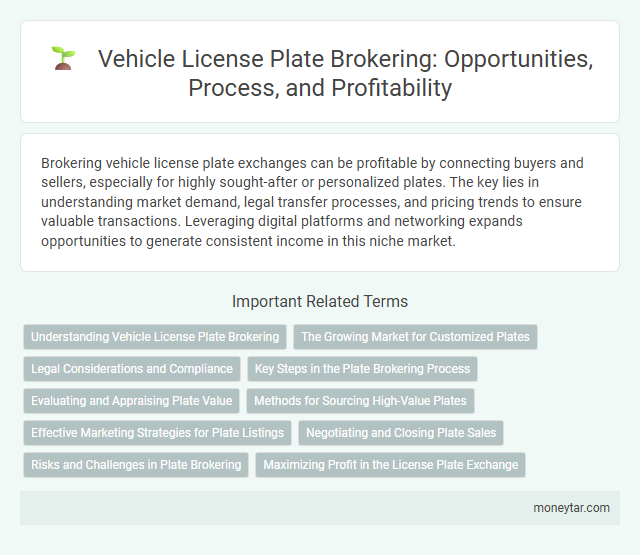 Vehicle License Plate Brokering: Opportunities, Process, and Profitability