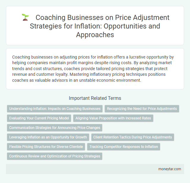 Coaching Businesses on Price Adjustment Strategies for Inflation: Opportunities and Approaches