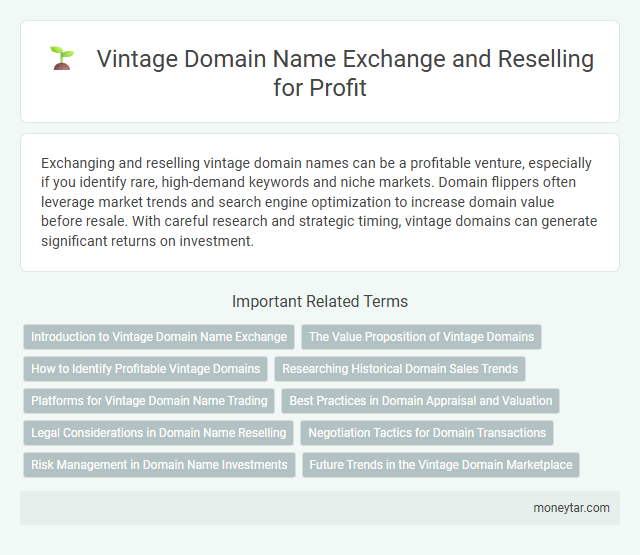 Vintage Domain Name Exchange and Reselling for Profit
