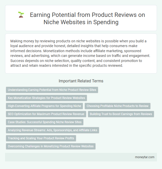Earning Potential from Product Reviews on Niche Websites in Spending