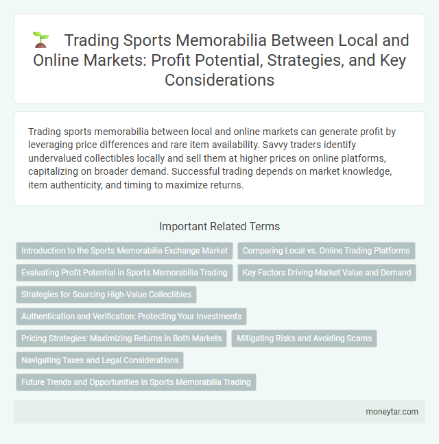 Trading Sports Memorabilia Between Local and Online Markets: Profit Potential, Strategies, and Key Considerations