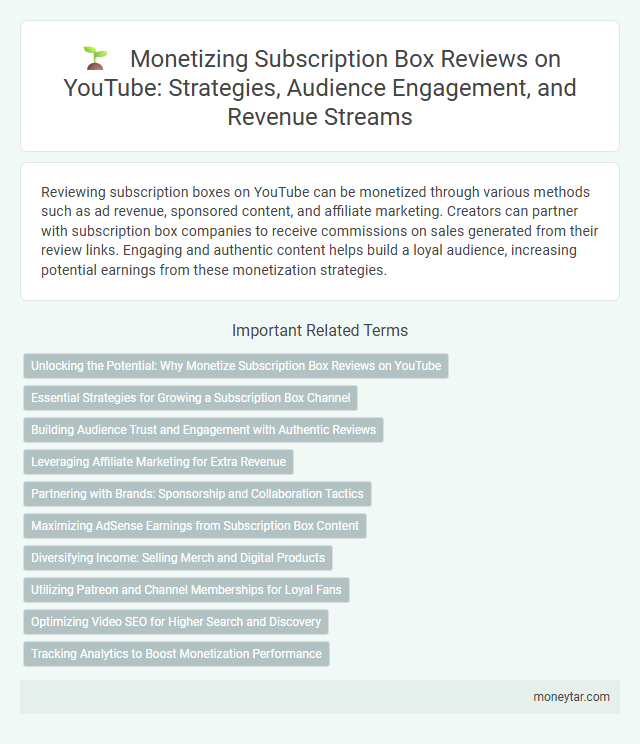 Monetizing Subscription Box Reviews on YouTube: Strategies, Audience Engagement, and Revenue Streams