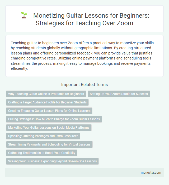 Monetizing Guitar Lessons for Beginners: Strategies for Teaching Over Zoom
