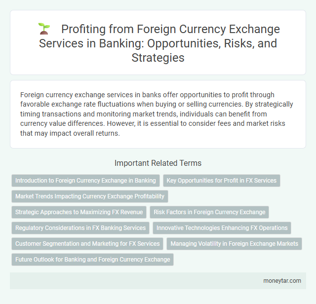 Profiting from Foreign Currency Exchange Services in Banking: Opportunities, Risks, and Strategies