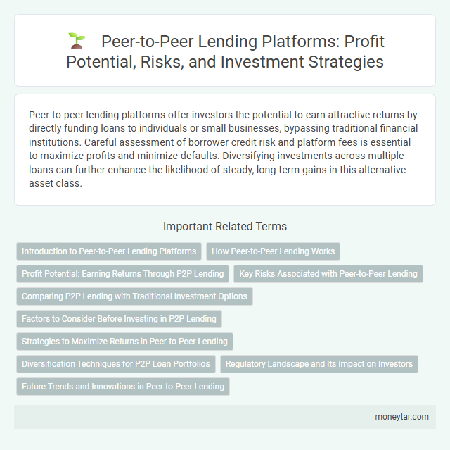 Peer-to-Peer Lending Platforms: Profit Potential, Risks, and Investment Strategies