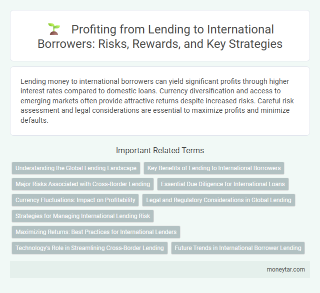 Profiting from Lending to International Borrowers: Risks, Rewards, and Key Strategies