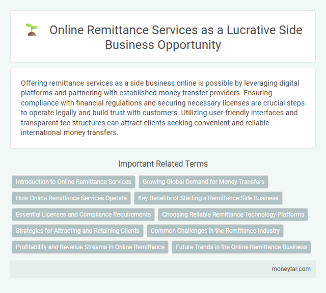 Online Remittance Services as a Lucrative Side Business Opportunity