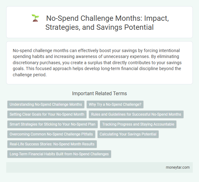 No-Spend Challenge Months: Impact, Strategies, and Savings Potential