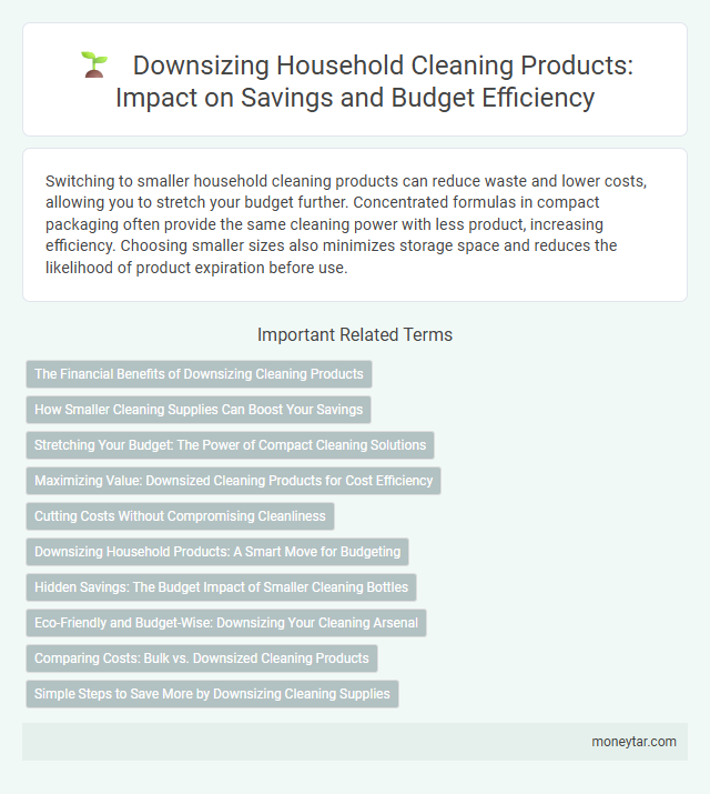 Downsizing Household Cleaning Products: Impact on Savings and Budget Efficiency