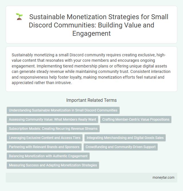 Sustainable Monetization Strategies for Small Discord Communities: Building Value and Engagement