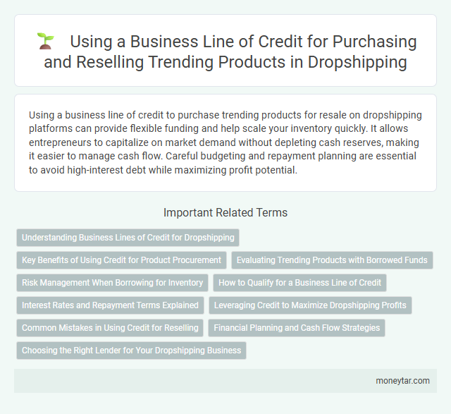 Using a Business Line of Credit for Purchasing and Reselling Trending Products in Dropshipping