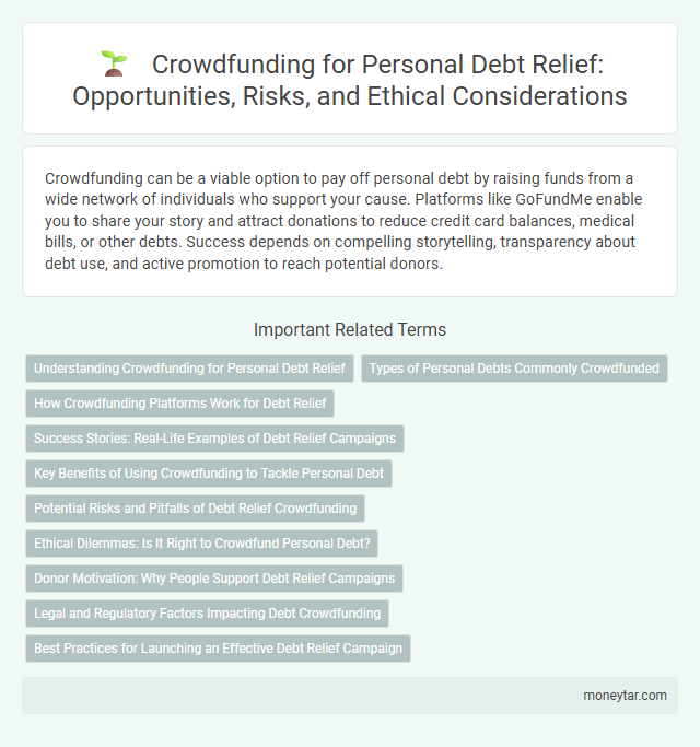 Crowdfunding for Personal Debt Relief: Opportunities, Risks, and Ethical Considerations
