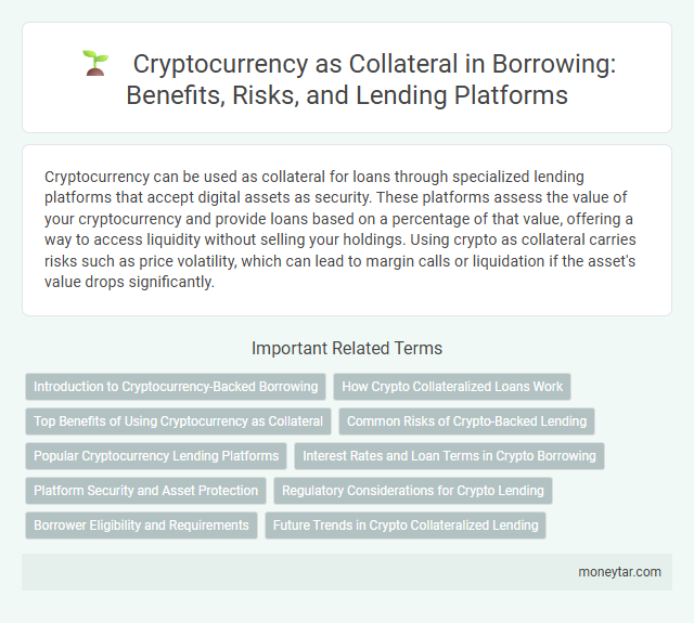 Cryptocurrency as Collateral in Borrowing: Benefits, Risks, and Lending Platforms