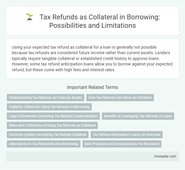 Tax Refunds as Collateral in Borrowing: Possibilities and Limitations