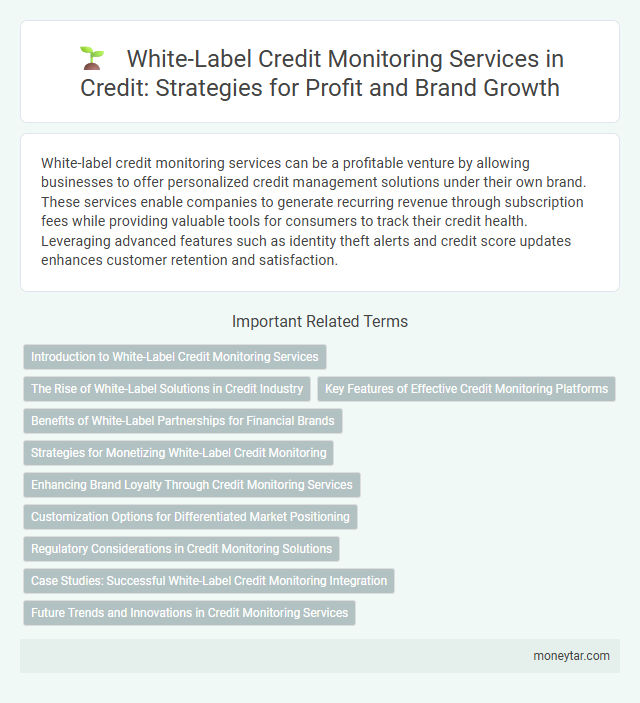 White-Label Credit Monitoring Services in Credit: Strategies for Profit and Brand Growth