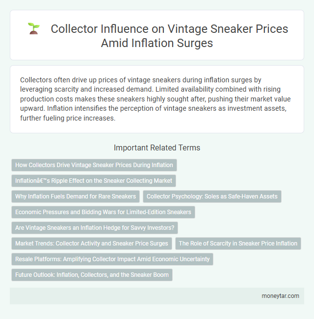 Collector Influence on Vintage Sneaker Prices Amid Inflation Surges