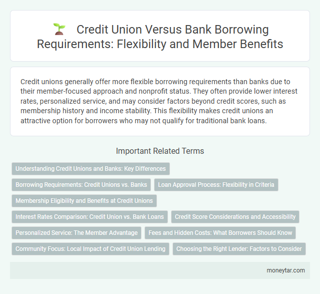 Credit Union Versus Bank Borrowing Requirements: Flexibility and Member Benefits