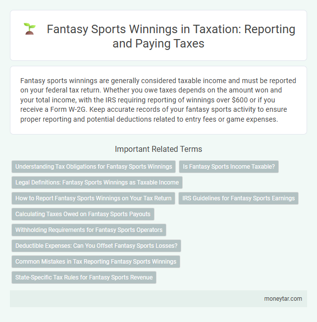 Fantasy Sports Winnings in Taxation: Reporting and Paying Taxes