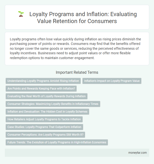 Loyalty Programs and Inflation: Evaluating Value Retention for Consumers