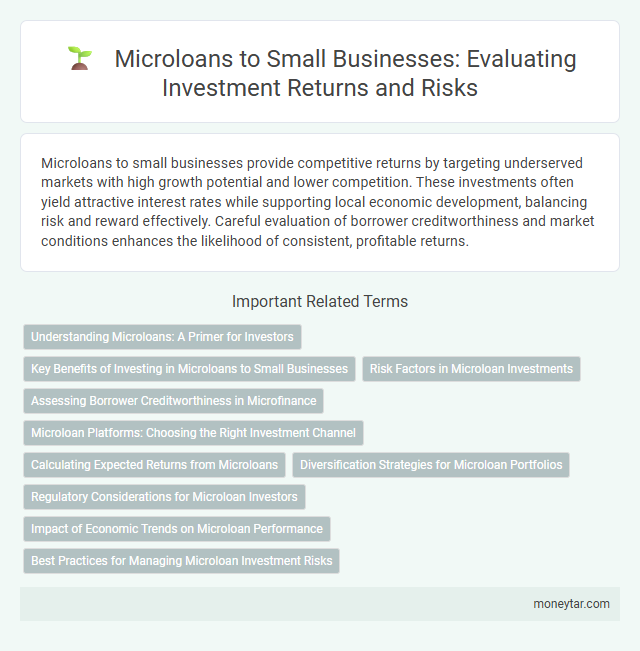 Microloans to Small Businesses: Evaluating Investment Returns and Risks