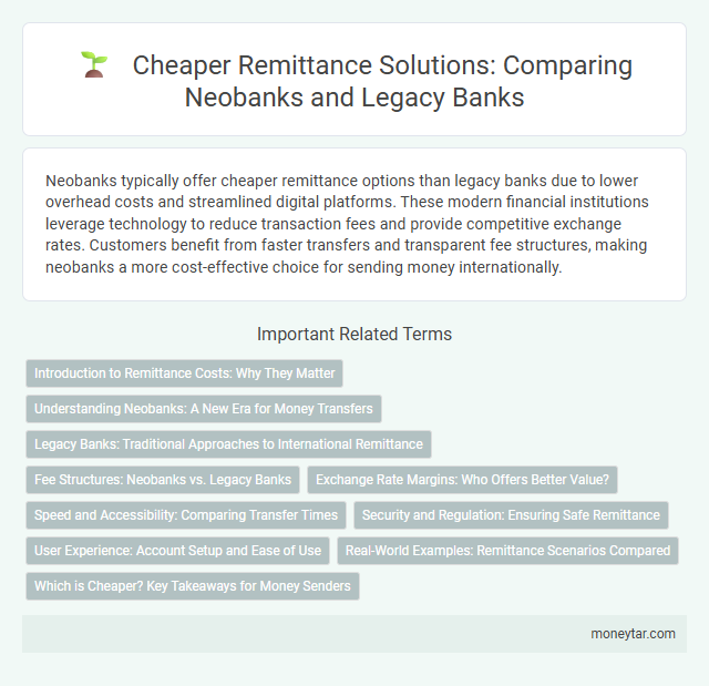 Cheaper Remittance Solutions: Comparing Neobanks and Legacy Banks