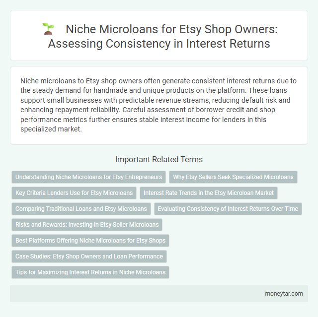 Niche Microloans for Etsy Shop Owners: Assessing Consistency in Interest Returns