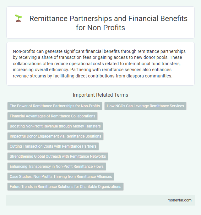 Remittance Partnerships and Financial Benefits for Non-Profits