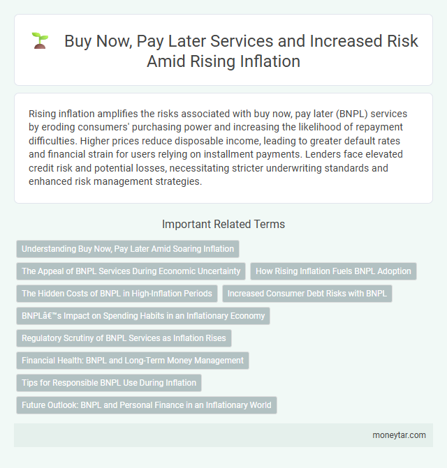 Buy Now, Pay Later Services and Increased Risk Amid Rising Inflation