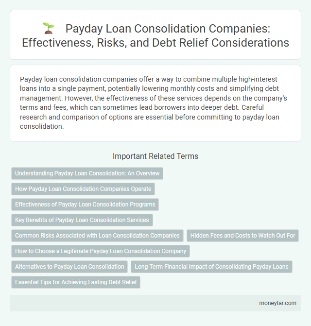 Payday Loan Consolidation Companies: Effectiveness, Risks, and Debt Relief Considerations