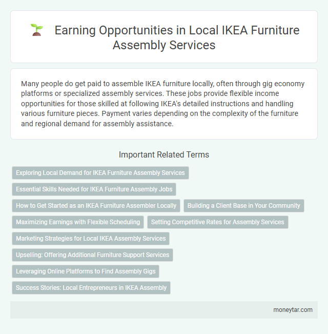 Earning Opportunities in Local IKEA Furniture Assembly Services