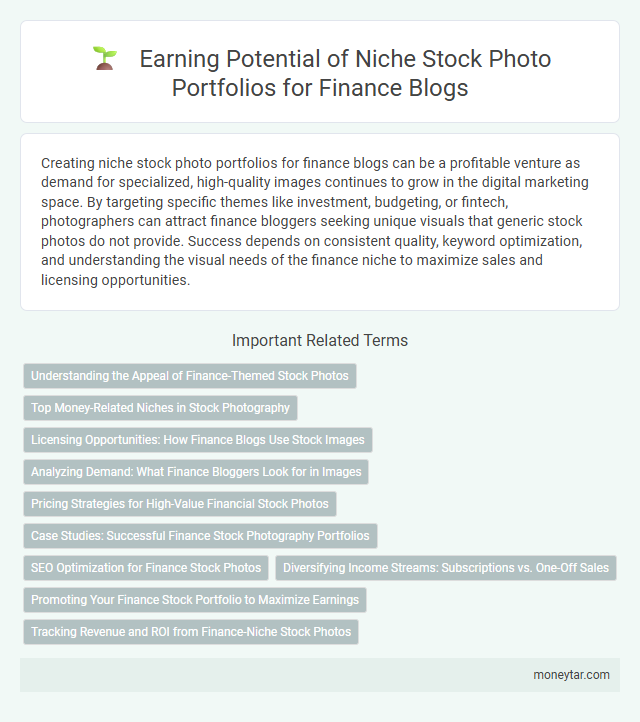 Earning Potential of Niche Stock Photo Portfolios for Finance Blogs