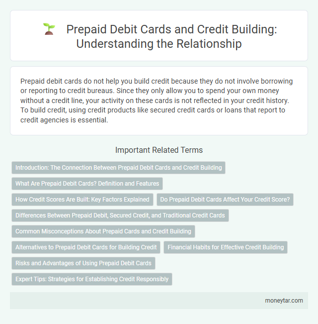 Prepaid Debit Cards and Credit Building: Understanding the Relationship