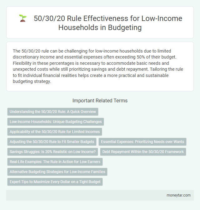 50/30/20 Rule Effectiveness for Low-Income Households in Budgeting