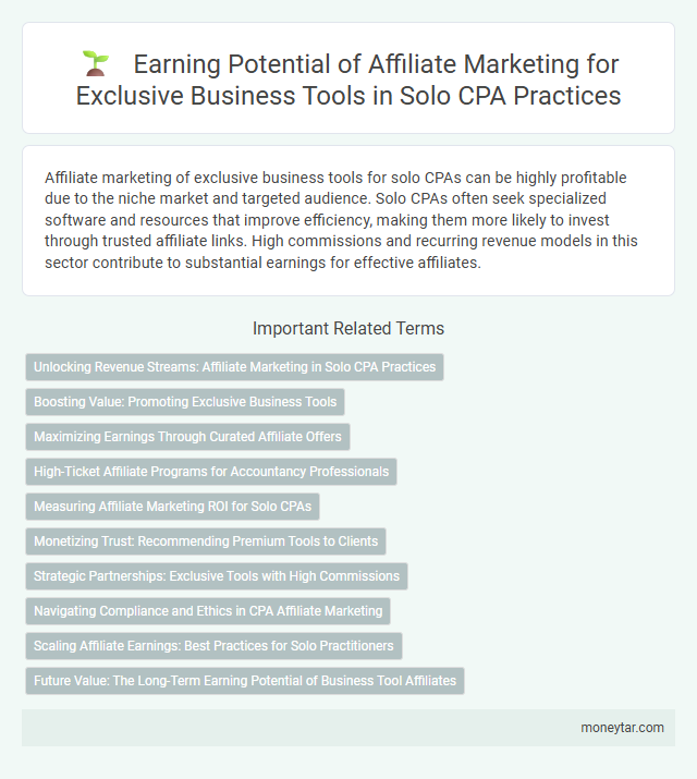 Earning Potential of Affiliate Marketing for Exclusive Business Tools in Solo CPA Practices