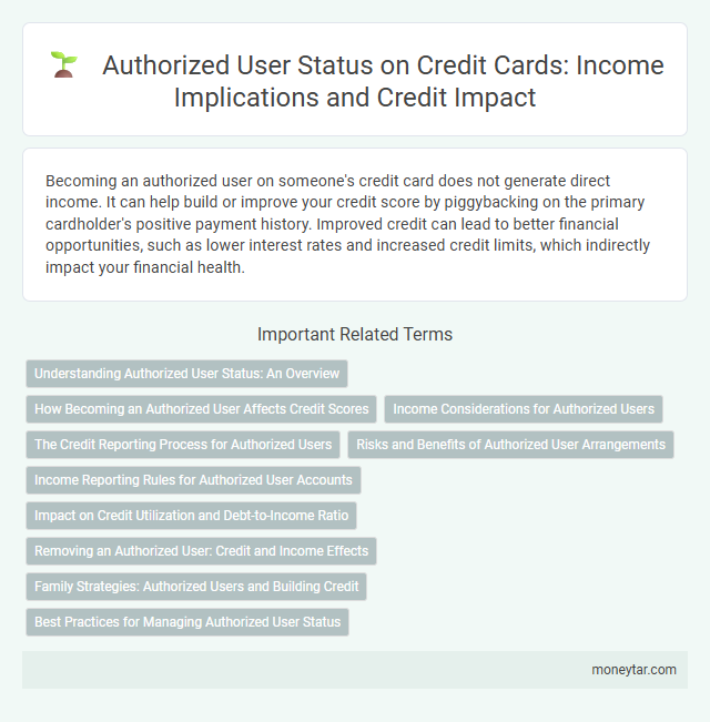 Authorized User Status on Credit Cards: Income Implications and Credit Impact