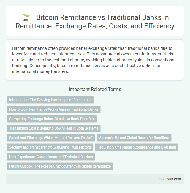 Bitcoin Remittance vs Traditional Banks in Remittance: Exchange Rates, Costs, and Efficiency