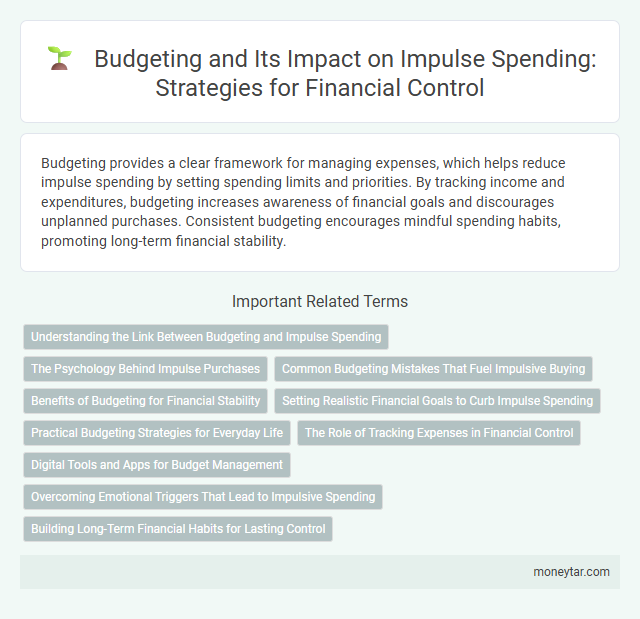 Budgeting and Its Impact on Impulse Spending: Strategies for Financial Control