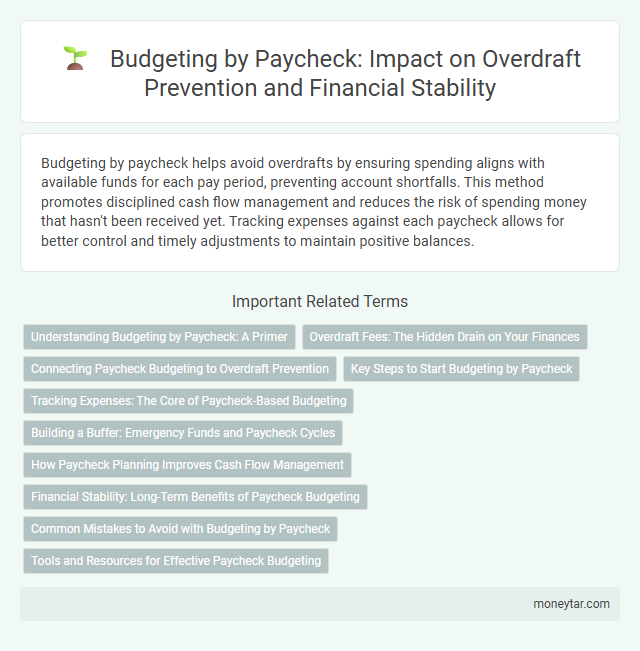 Budgeting by Paycheck: Impact on Overdraft Prevention and Financial Stability