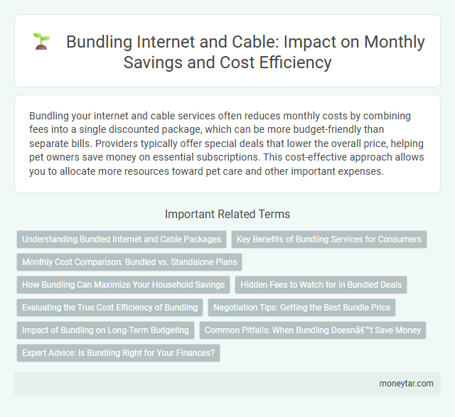 Bundling Internet and Cable: Impact on Monthly Savings and Cost Efficiency