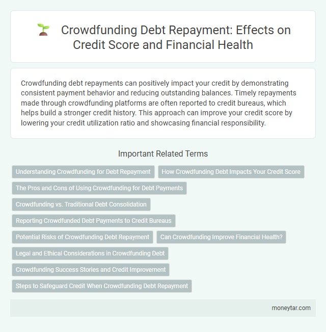 Crowdfunding Debt Repayment: Effects on Credit Score and Financial Health