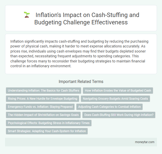 Inflation's Impact on Cash-Stuffing and Budgeting Challenge Effectiveness