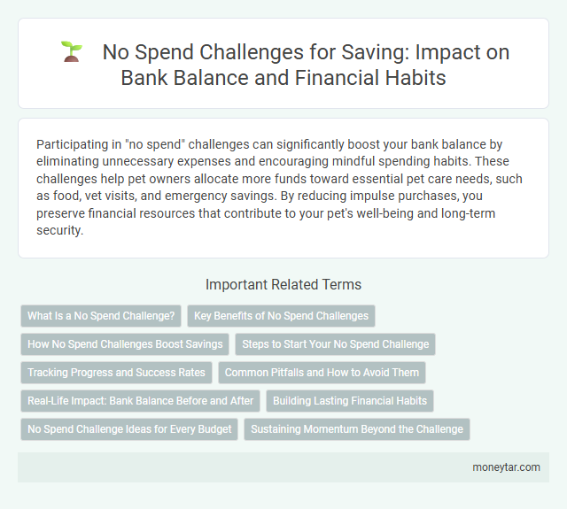 No Spend Challenges for Saving: Impact on Bank Balance and Financial Habits