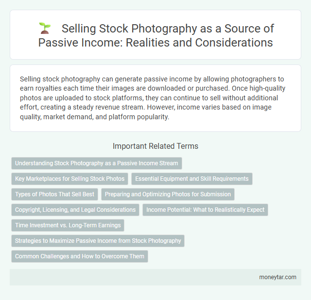Selling Stock Photography as a Source of Passive Income: Realities and Considerations