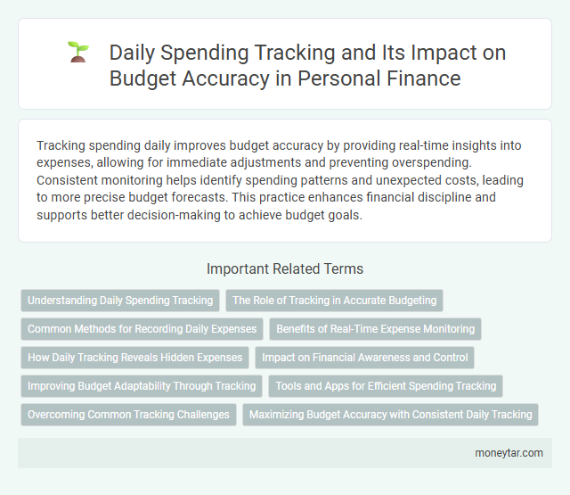 Daily Spending Tracking and Its Impact on Budget Accuracy in Personal Finance