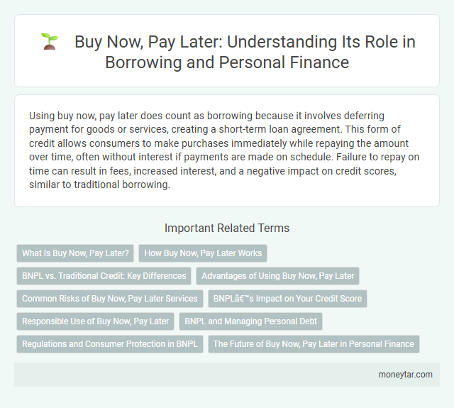 Buy Now, Pay Later: Understanding Its Role in Borrowing and Personal Finance
