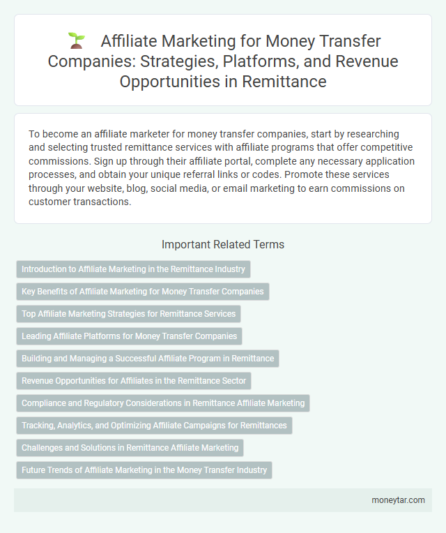 Affiliate Marketing for Money Transfer Companies: Strategies, Platforms, and Revenue Opportunities in Remittance